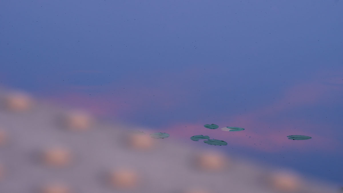 DSC01212