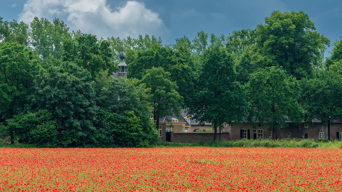 20260605  DSC8735 HDR