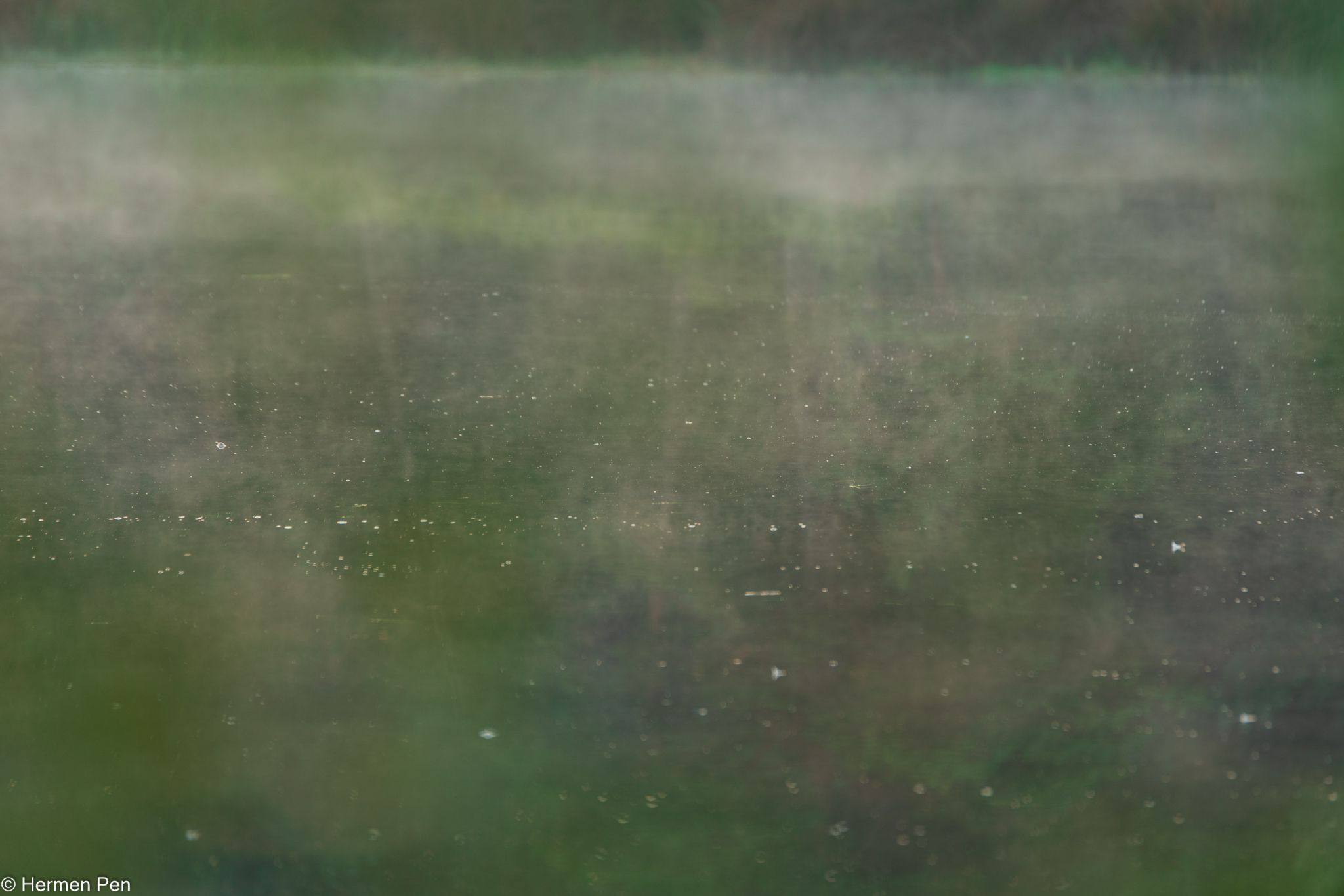 20210919  DSC0661