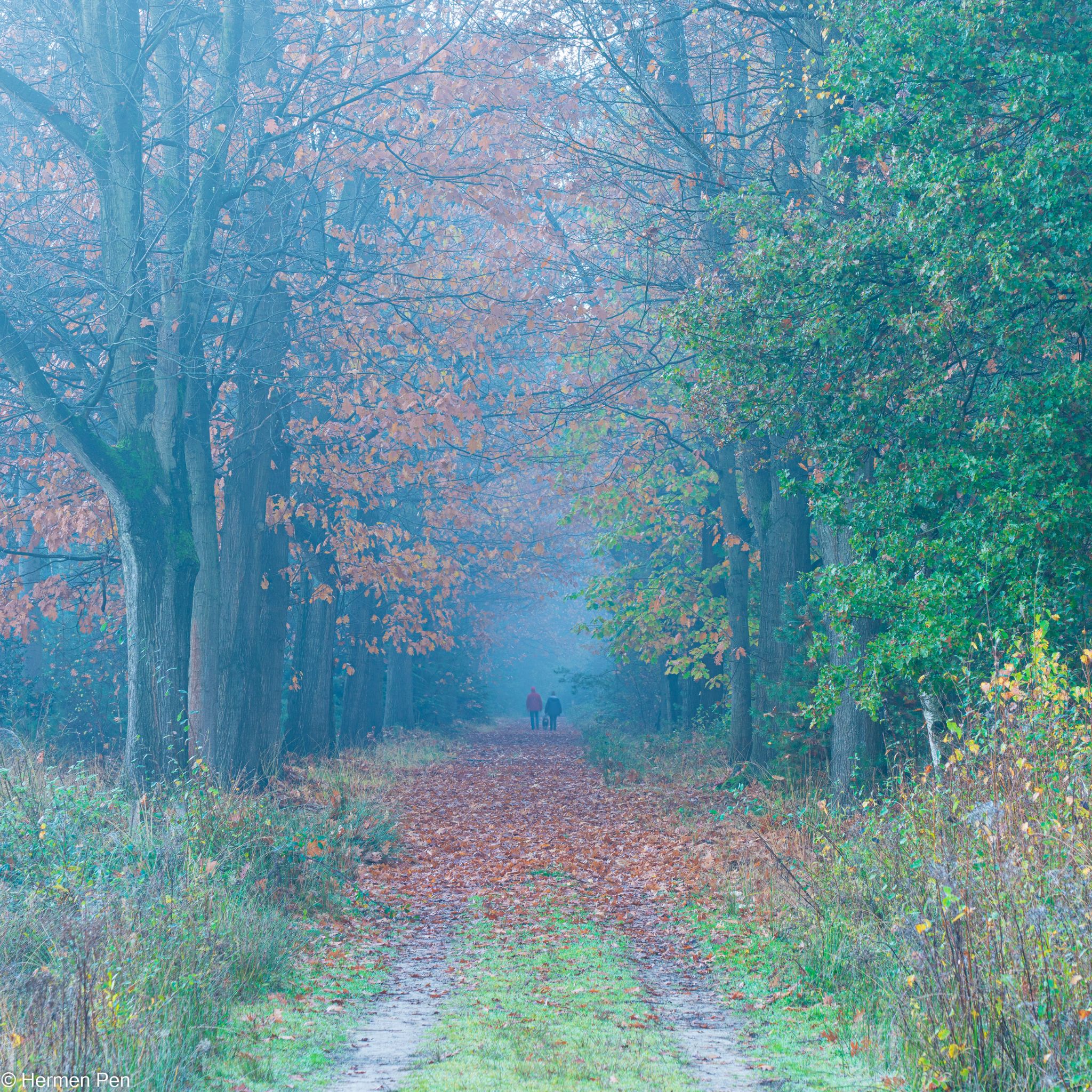 20211105  DSC0935